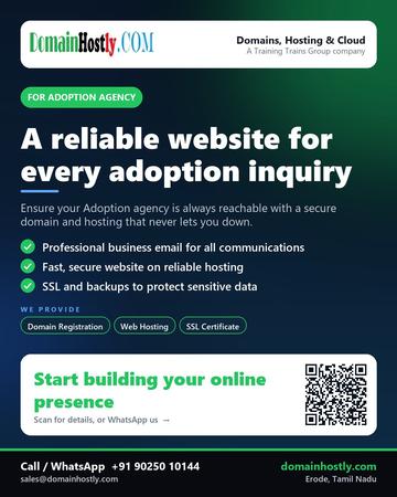 DomainHostly poster for Adoption agency: A reliable website for every adoption inquiry
