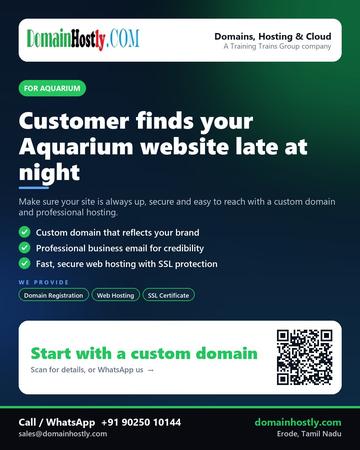 DomainHostly poster for Aquarium: Customer finds your Aquarium website late at night