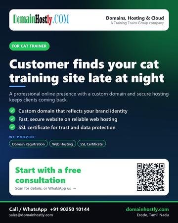 DomainHostly poster for Cat trainer: Customer finds your cat training site late at night