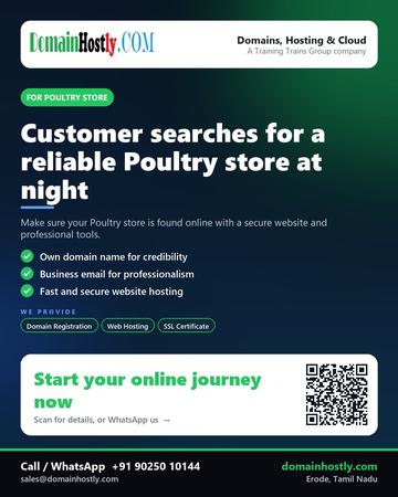 DomainHostly poster for Poultry store: Customer searches for a reliable Poultry store at night