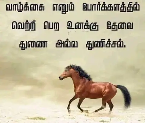 Training Trains, Erode - Instagram post, 26 February 2024