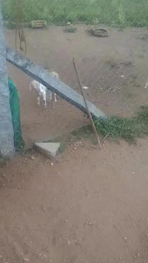 Training Trains, Erode - Instagram post, 29 June 2022 - video