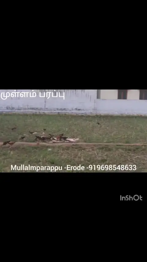 Training Trains, Erode - Instagram post, 9 September 2023 - video