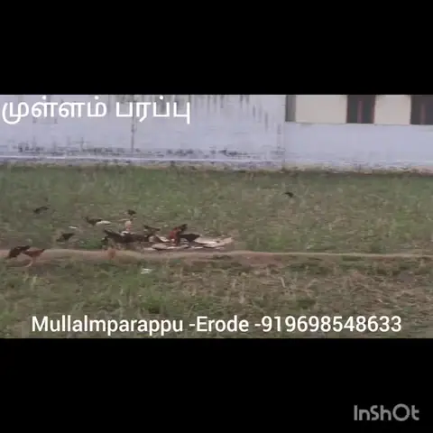 Training Trains, Erode - Instagram post, 10 September 2023 - video